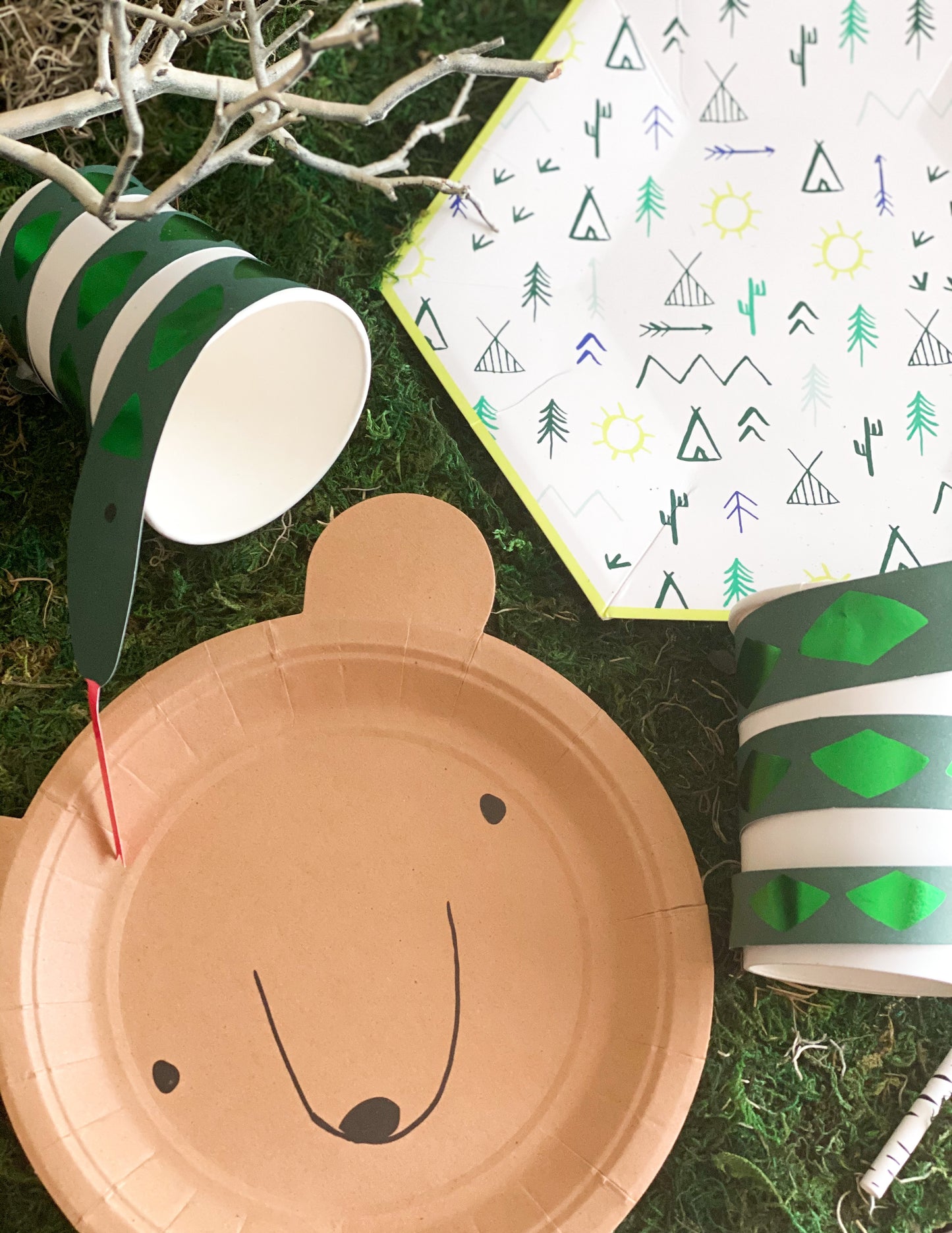 Let’s Explore Plates